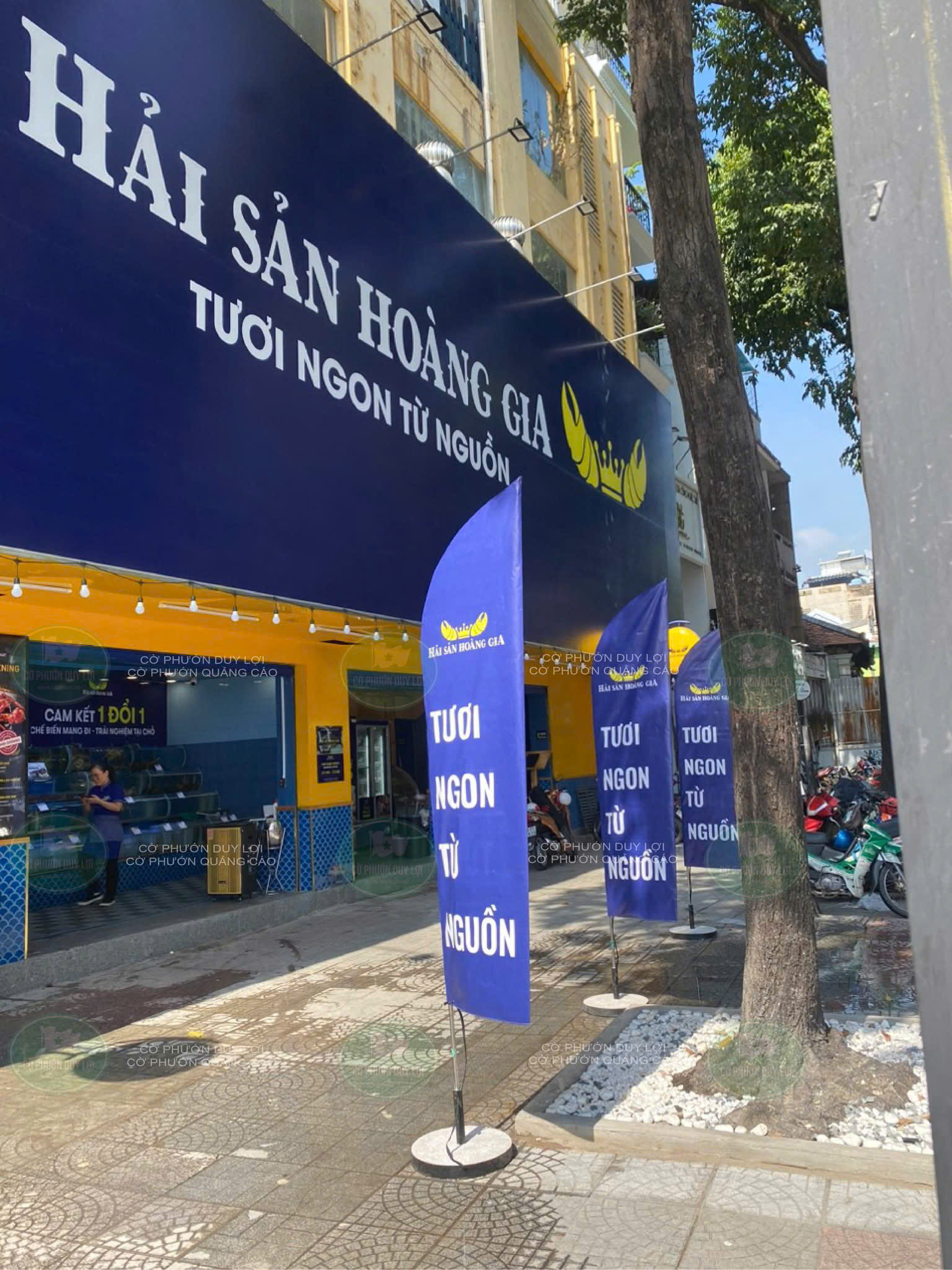 Mẫu cờ phướn cánh buồm - Hải sản Hoàng Gia